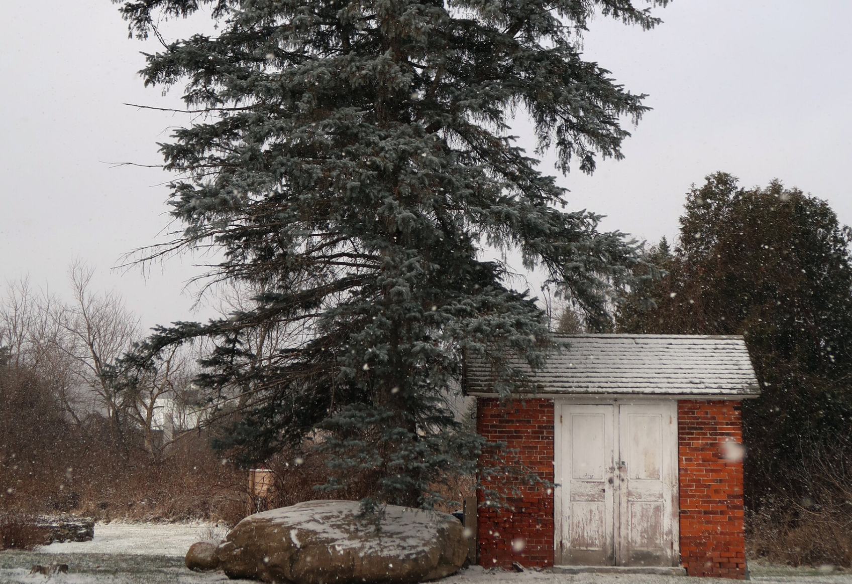 Vrijwilliger valt uit hoge kerstboom. Wie is aansprakelijk voor zijn